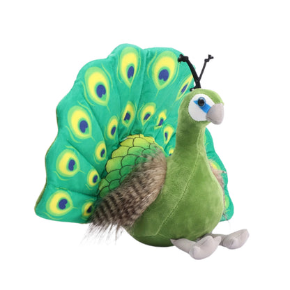 Aristo the Peacock